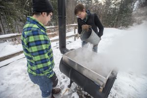 Backyard Maple Syrup 101 Why A Continuous Flow Pan Is Better Than