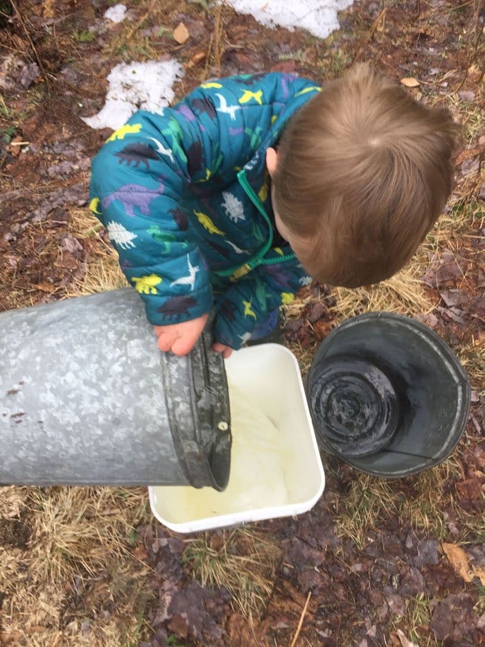 child collecting sap