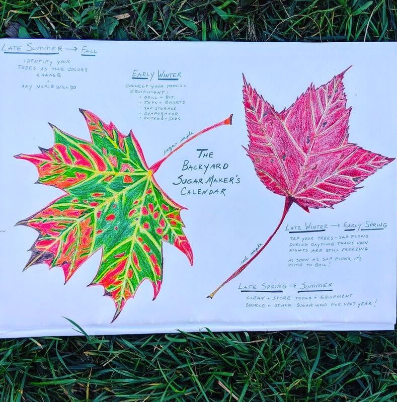 paper with drawn leaves and text on it
