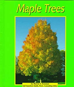 maple trees book