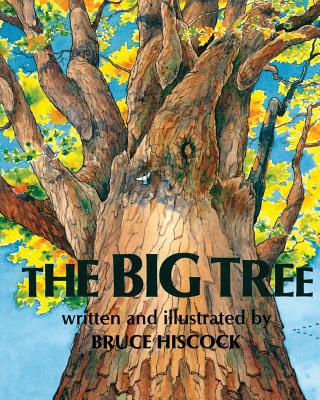 the big tree book