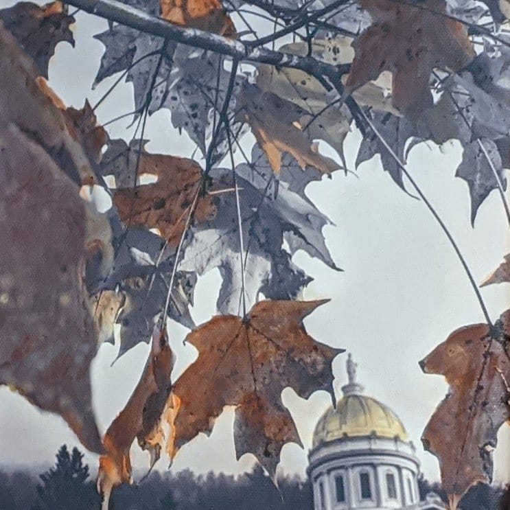 maple leaves and the Vermont capital building
