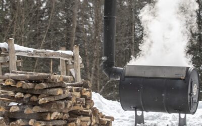 DIY Maple Syrup: All About Sugar Wood