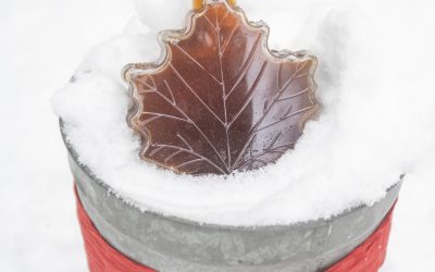 2022 Maple Syrup Production by State