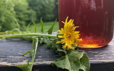 How to Make Dandelion Syrup