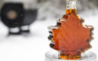 Maple Syrup Sugaring Supplies – The Essentials to Get You Going
