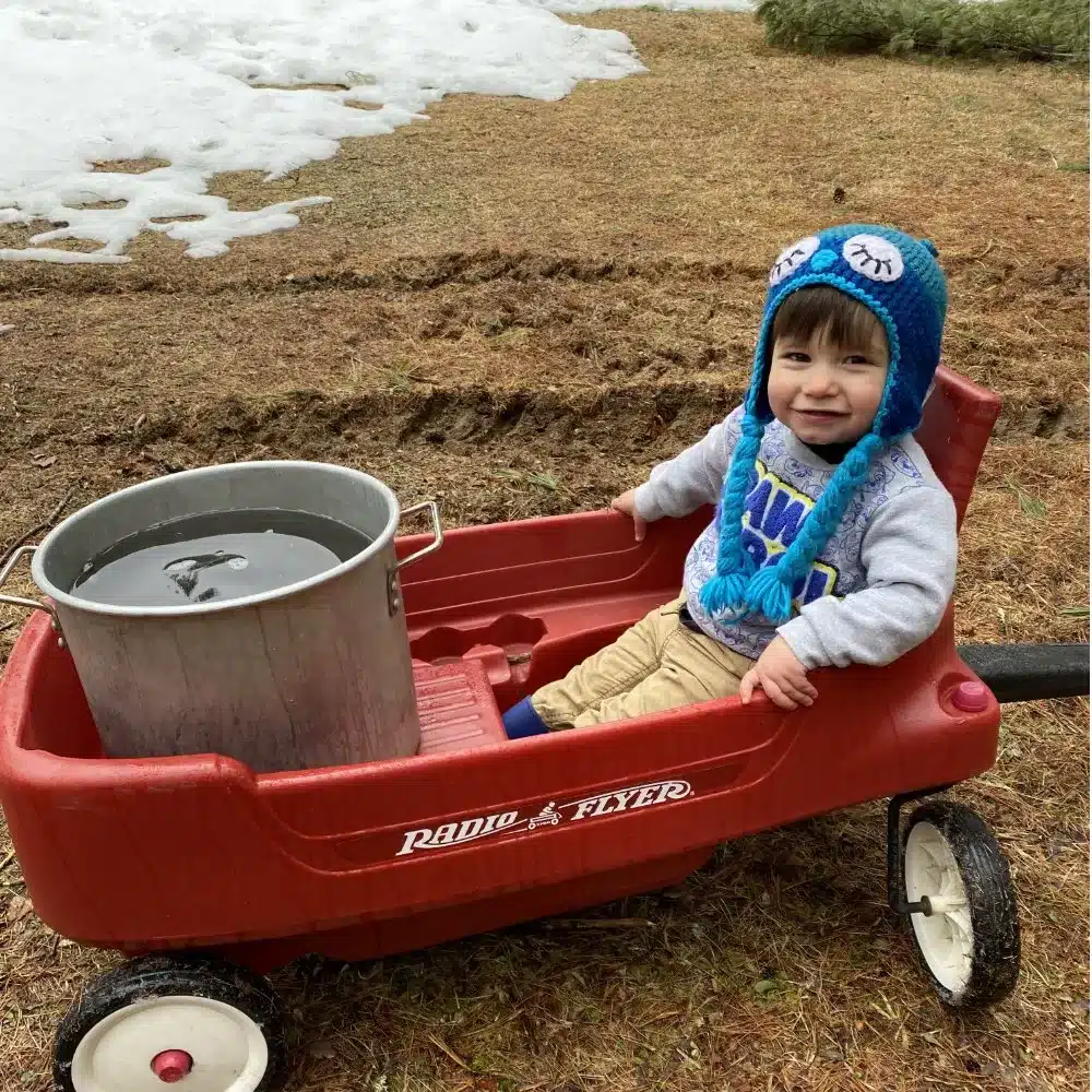 Kid in wagon with maple sap