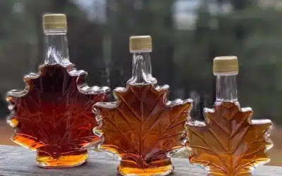 How To Finish and Store Homemade Maple Syrup