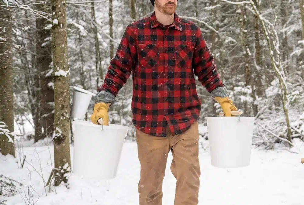 How to Store Maple Sap