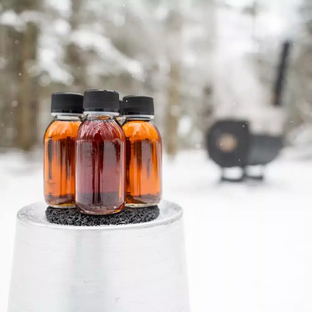 Maple syrup in foreground with sapling evaporator in the background