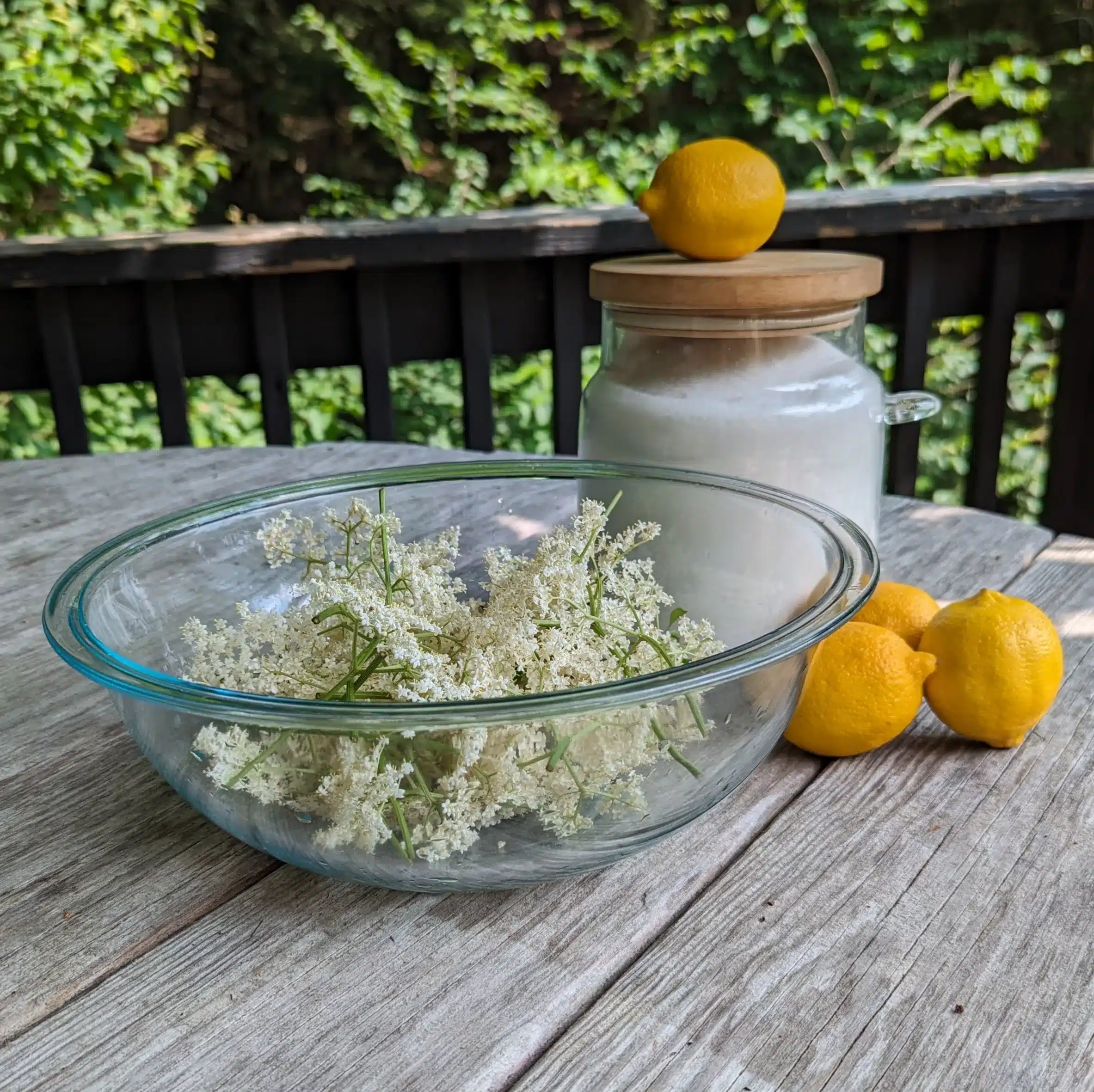 A bowl of elderflowers, four lemons and a canister of sugar.