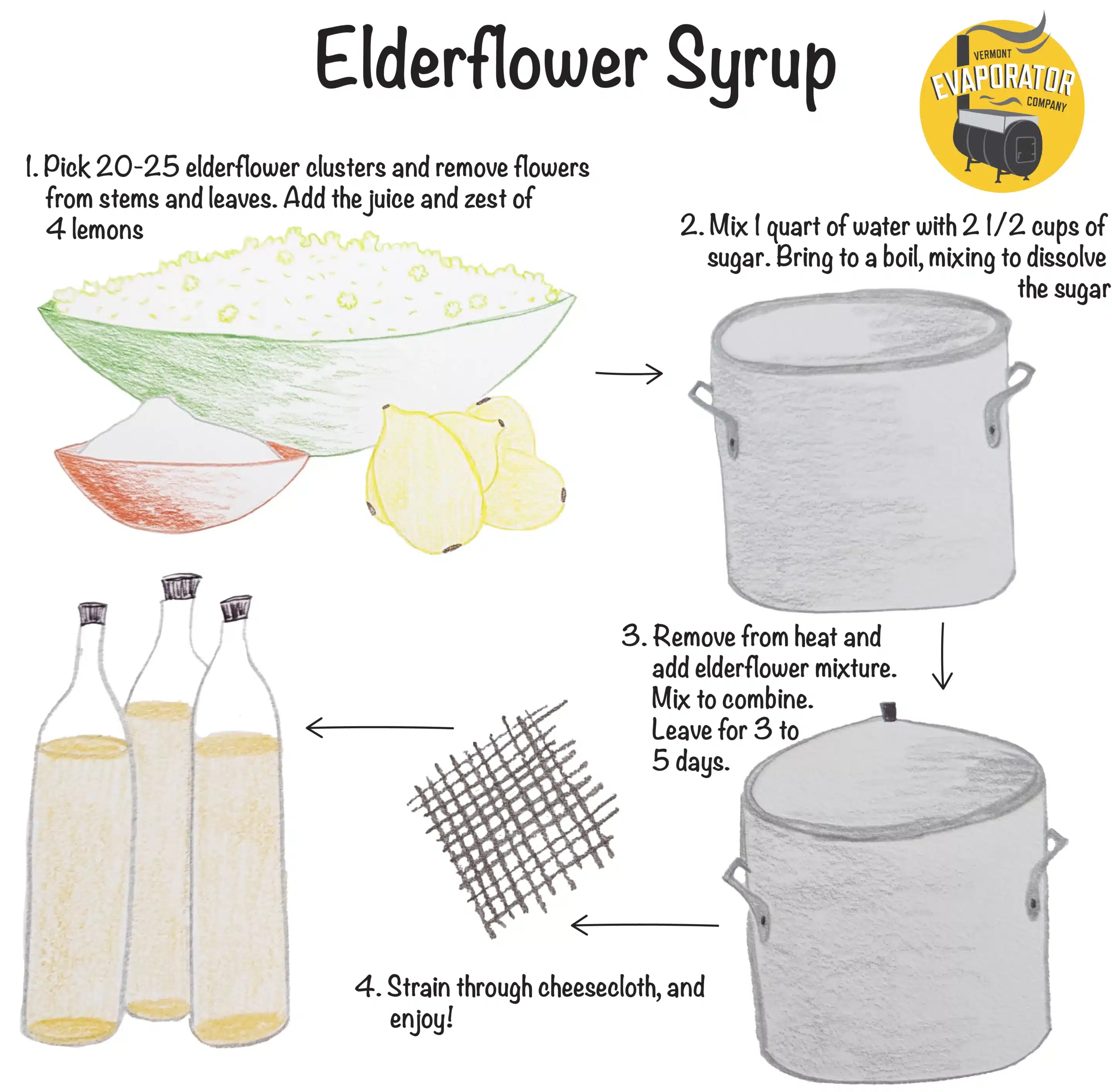 A hand drawn infographic about how to make elderflower syrup.