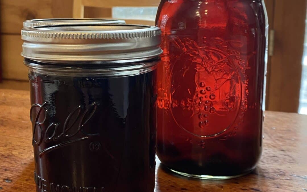 Making Maple Syrup On A Budget