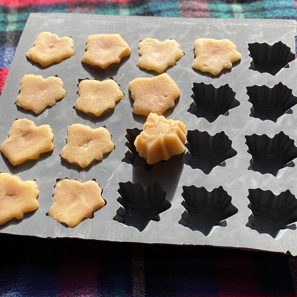 Maple Candies in maple candy mold