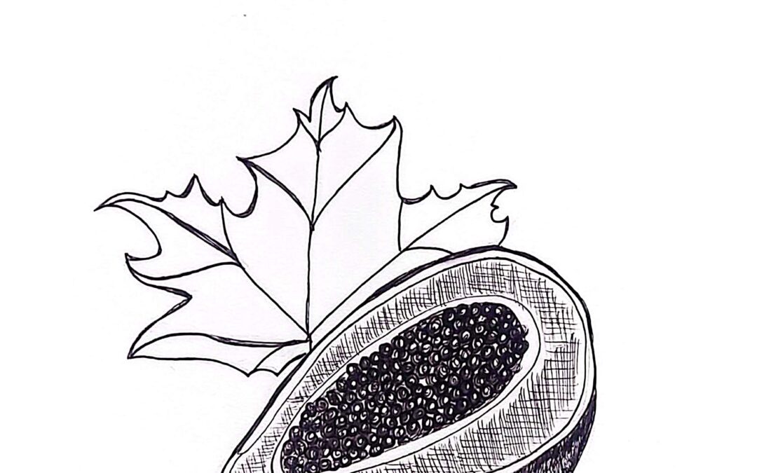 Introducing Another Native North American Food: The Pawpaw!
