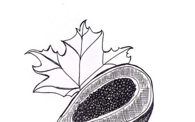 Introducing Another Native North American Food: The Pawpaw!