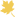 maple leaf