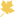 maple leaf